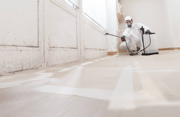 24/7 Emergency Crawl Space Mold Remediation experts in Mead, WA